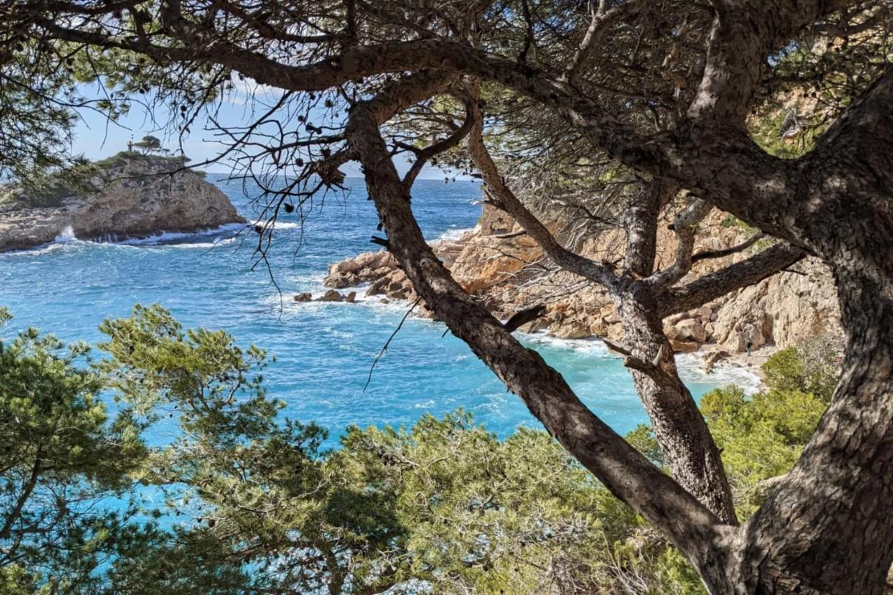 Tranquil 1 Bedroom Close To The Beach With Terrace - Dodo Et Tartine Carry-le-Rouet Exterior photo